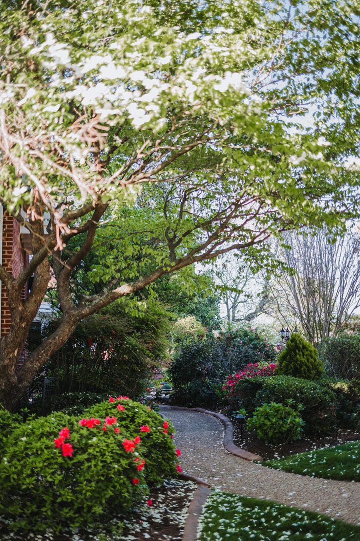 Spring flowers and winding paths in the Manor gardens