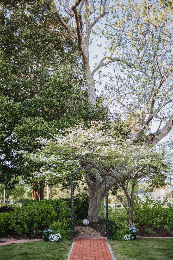 The brick garden path beneath the old oak and flowering trees