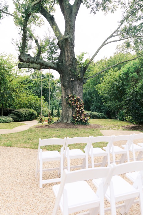 White ceremony chairs facing the flower-adorned oak tree
