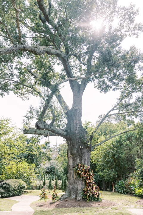 Sunlight filtering through the old oak above the ceremony flowers