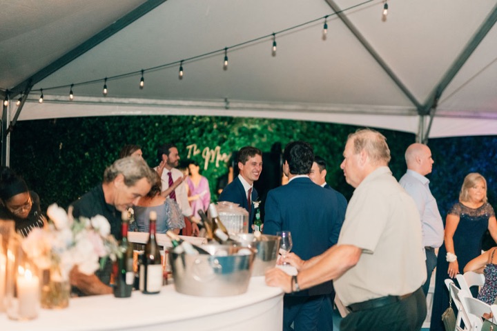 Guests enjoying a toast at the evening reception